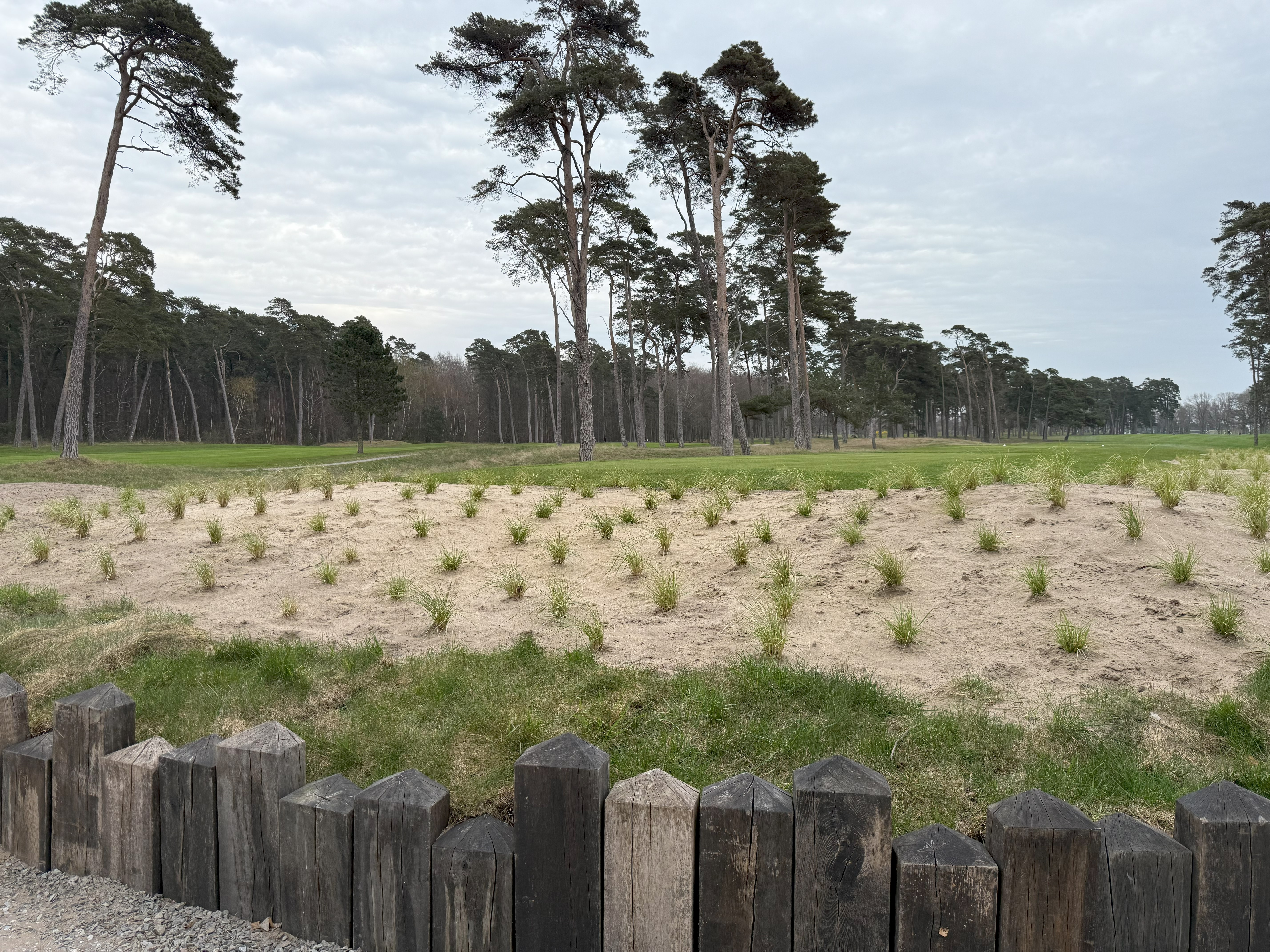 Golfmanager introduction